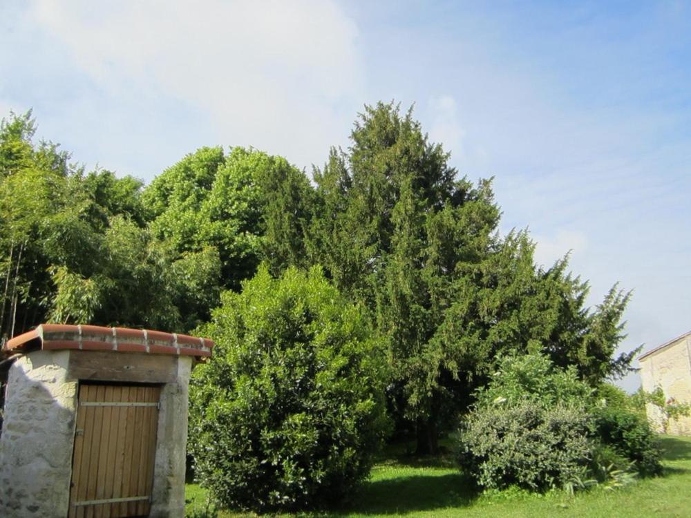 Bed and Breakfast Les Cagouilles Virson Esterno foto
